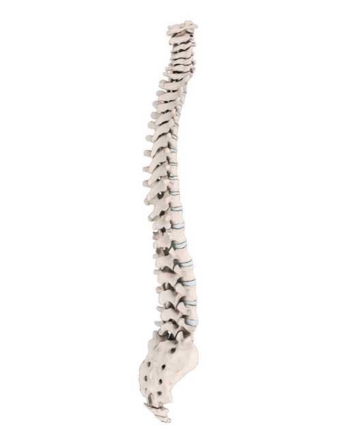 The spinal decompression clinic at Integral Wellness Co.